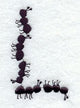 Ant Letter L (3 inch)