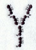 Ant Letter Y (3 inch)