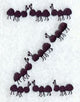 Ant Letter Z (3 inch)