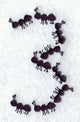 Ant Number 3 (3 inch)