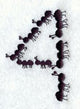 Ant Number 4 (3 inch)
