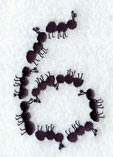 Ant Number 6 (3 inch)