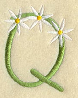 Daisy Letter Q (3 Inch)