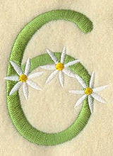 Daisy Number 6 (3 Inch)
