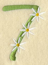 Daisy Number 7 (3 Inch)