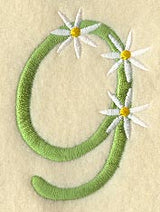Daisy Number 9 (3 Inch)