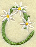 Daisy Letter C (3 Inch)