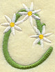 Daisy Letter C (3 Inch)