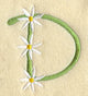 Daisy Letter D (3 Inch)