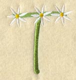 Daisy Letter T (3 Inch)
