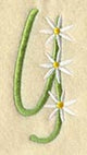Daisy Letter Y (3 Inch)