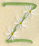 Daisy Letter Z (3 Inch)