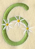 Daisy Number 6 (3 Inch)