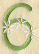 Daisy Number 6 (3 Inch)