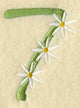 Daisy Number 7 (3 Inch)
