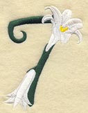Easter Lily Number 7 - 5 inch