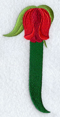 Tulip Number 1 - 5 inch