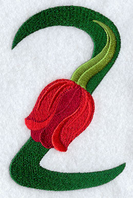 Tulip Number 2 - 5 inch