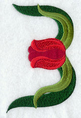 Tulip Number 3 - 5 inch