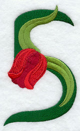 Tulip Number 5 - 5 inch