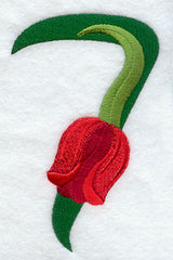 Tulip Number 7 - 5 inch