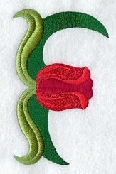 Tulip Letter F - 5 inch