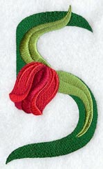 Tulip Number 5 - 5 inch