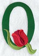 Tulip Letter Q - 5 inch