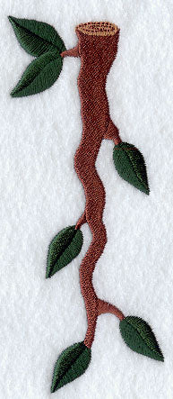 Branch Number 1 - 5 inch