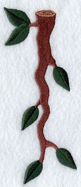 Branch Number 1 - 5 inch