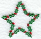 Holly Symbol Star (3 Inch)