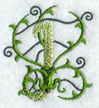 Vines Number 1 - 5 inch