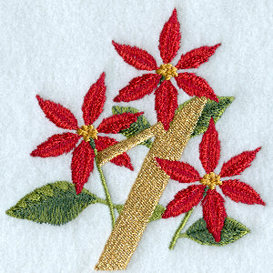 Poinsettia Number 1 - 4 inch