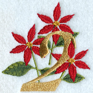 Poinsettia Number 2 - 4 inch