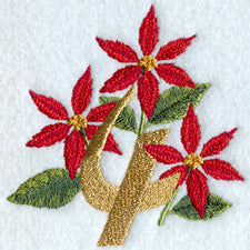 Poinsettia Number 4 - 4 inch