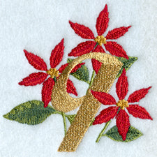 Poinsettia Number 9 - 4 inch