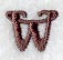 Arnold Letter W (3 Inch)