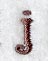 Arnold Lower Case Letter j (3 Inch)