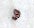 Arnold Comma (3 Inch)