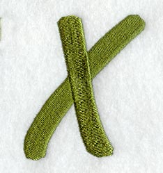 Book Script Letter X (3 Inch)