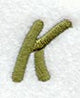 Book Script Letter K (3 Inch)