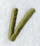 Book Script Letter V (3 Inch)