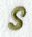 Book Script Lower Case Letter s (3 Inch)