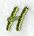 Book Script Letter H (3 Inch)