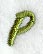 Book Script Letter P (3 Inch)