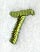 Book Script Letter T (3 Inch)