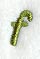 Book Script Lower Case Letter f (3 Inch)