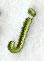 Book Script Lower Case Letter j (3 Inch)