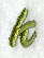 Book Script Lower Case Letter k (3 Inch)