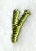 Book Script Lower Case Letter y (3 Inch)